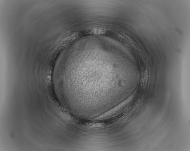 X0000112920553200909141315