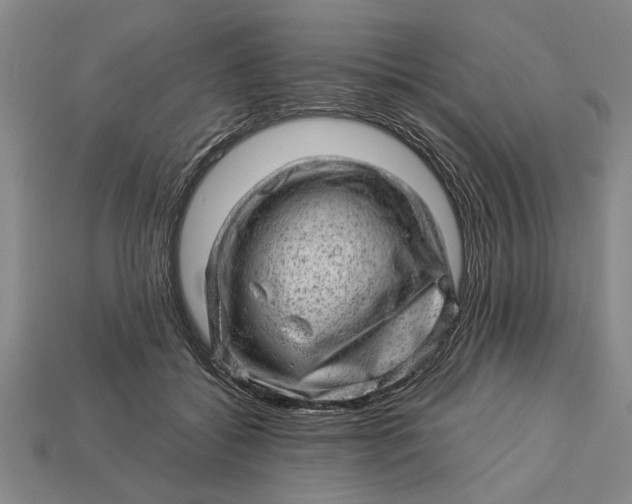 X0000112920556200909141315