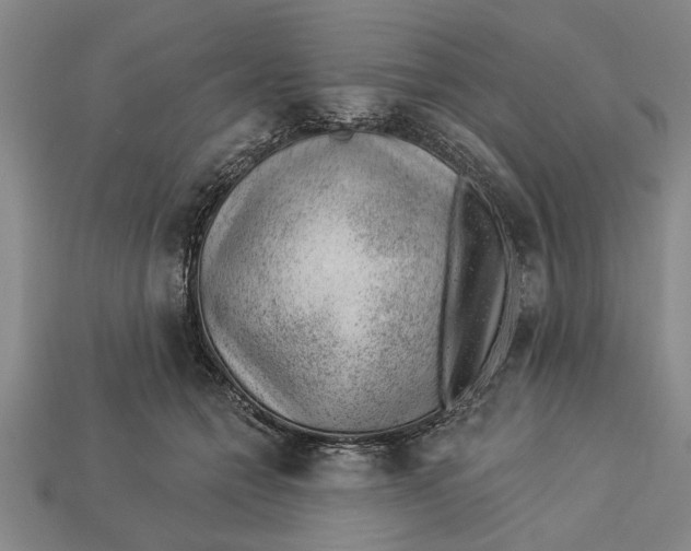 X0000112920558200909141315