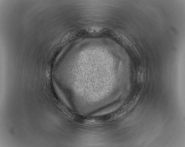 X0000112920561200909141315