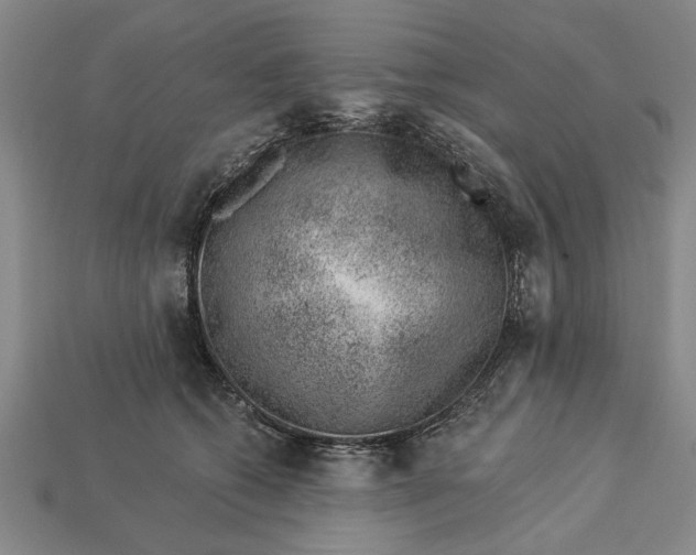 X0000112920562200909141315