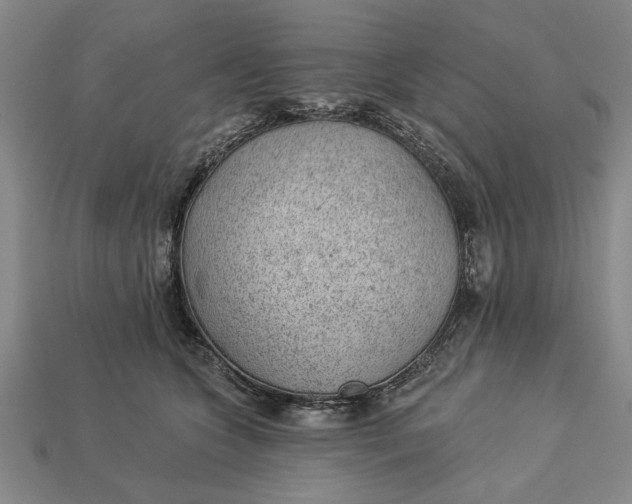 X0000112920563200909141315