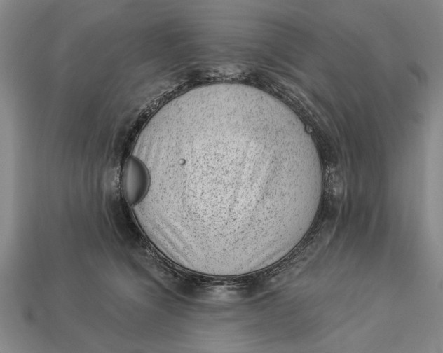 X0000112920564200909141315