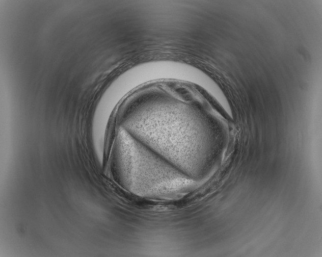 X0000112920566200909141315