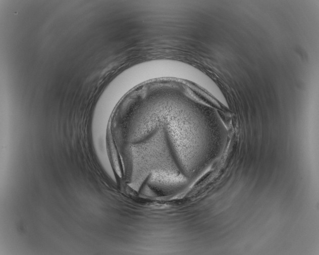 X0000112920570200909141315