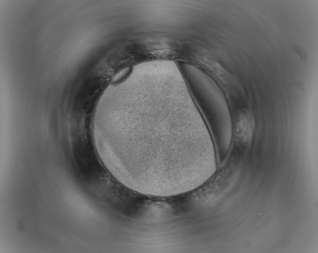 X0000112920572200909141315
