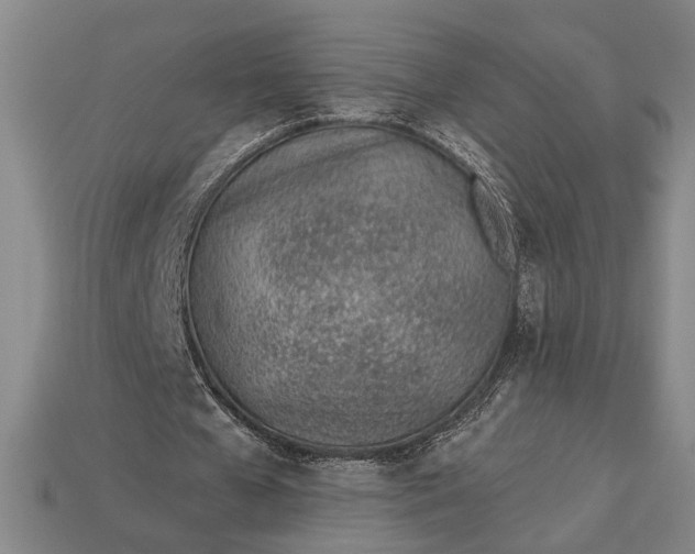 X0000112920577200909141314