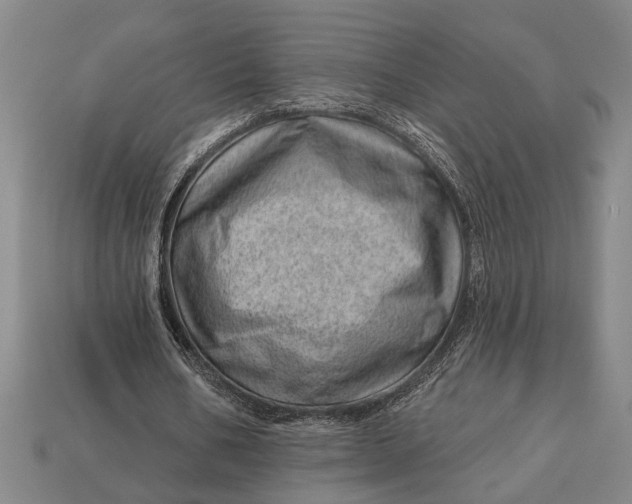 X0000112920578200909141314