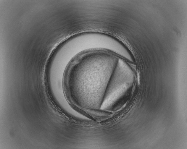 X0000112920579200909141314