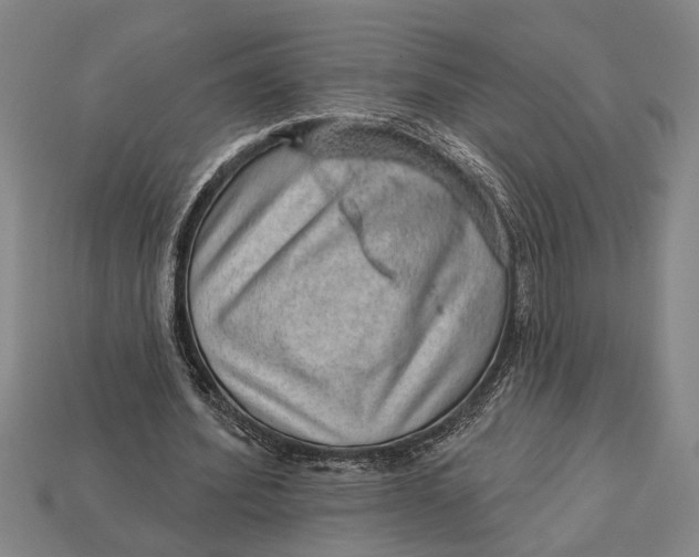 X0000112920580200909141314