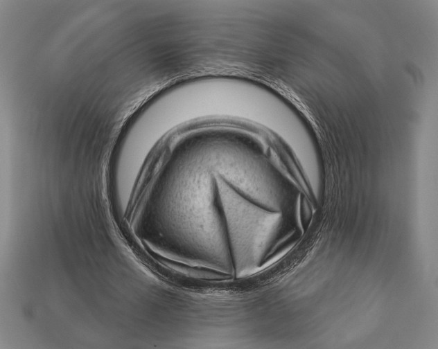 X0000112920581200909141314