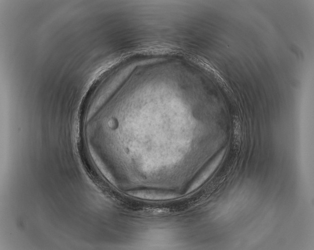 X0000112920582200909141314