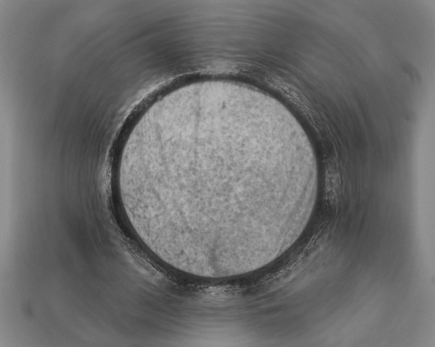 X0000112920584200909141314
