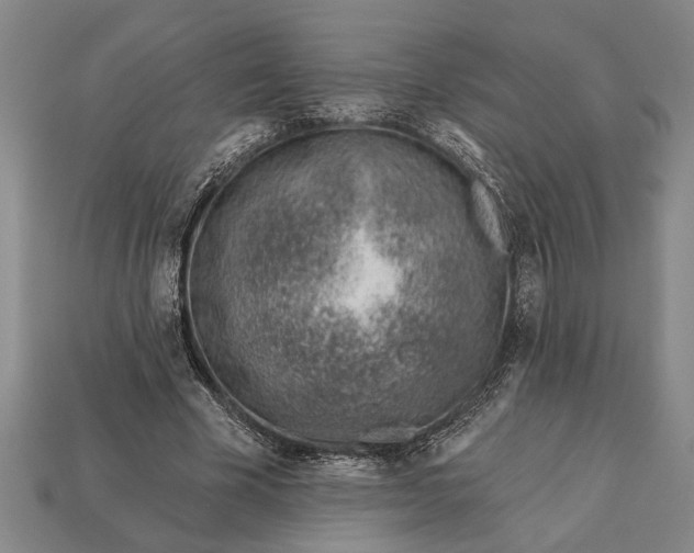 X0000112920585200909141314