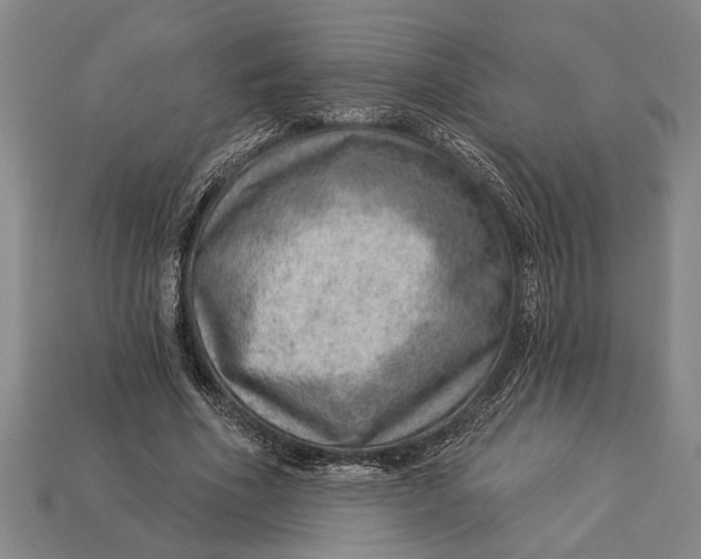 X0000112920586200909141314