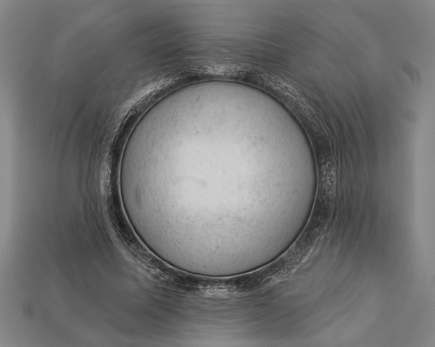 X0000112920587200909141314