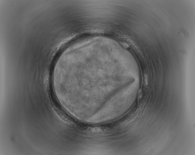 X0000112920588200909141314
