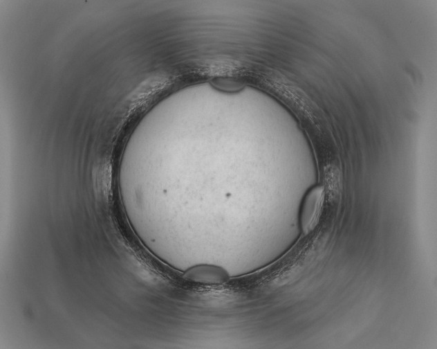X0000112920589200909141314