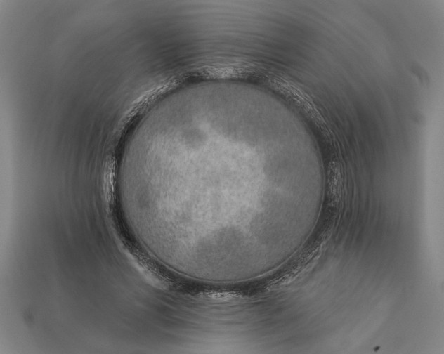 X0000112920590200909141314