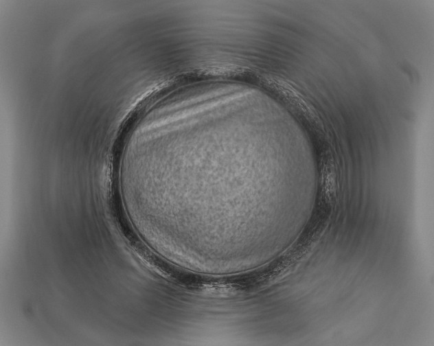 X0000112920591200909141314