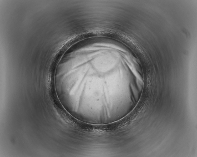 X0000112920592200909141314