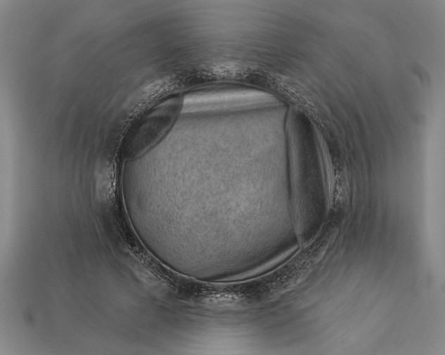 X0000112920593200909141314