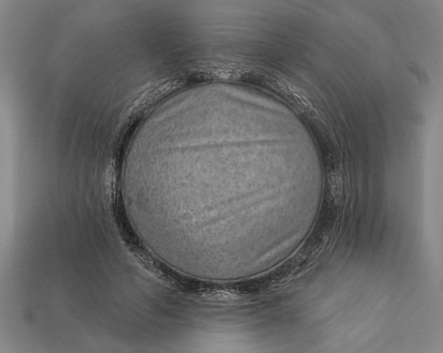 X0000112920594200909141314