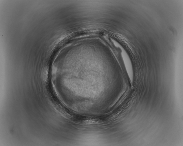 X0000112920596200909141314