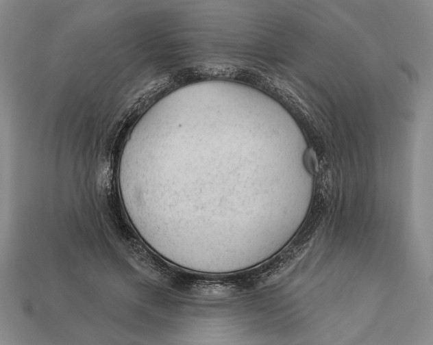 X0000112920597200909141314