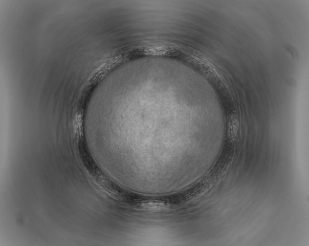 X0000112920598200909141314