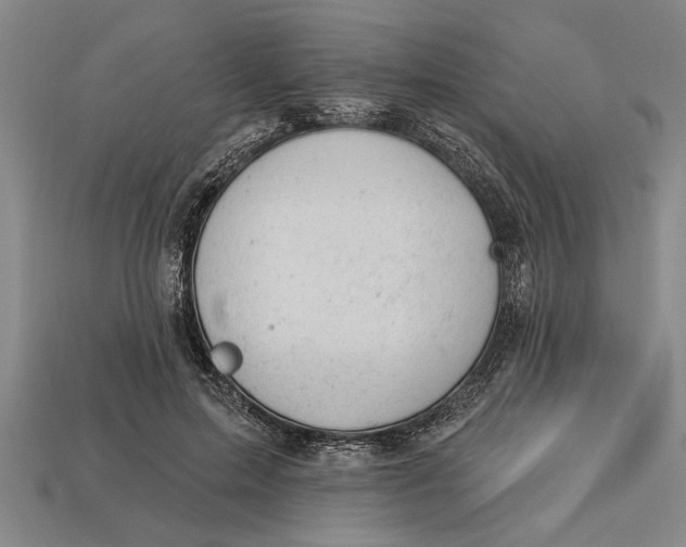 X0000112920599200909141314