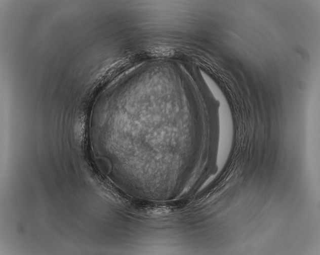 X0000112920600200909141314
