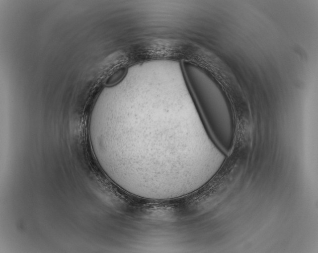 X0000112920601200909141314