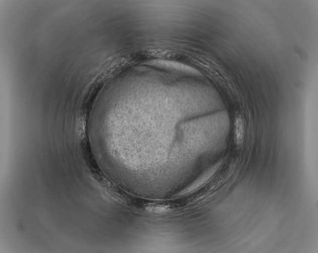 X0000112920602200909141314