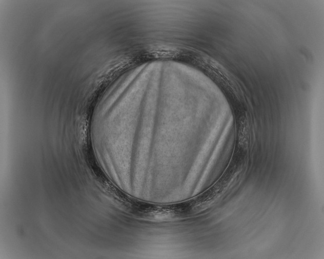 X0000112920604200909141314