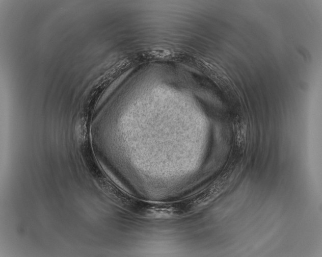 X0000112920606200909141314