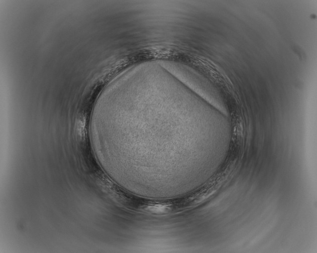 X0000112920610200909141314