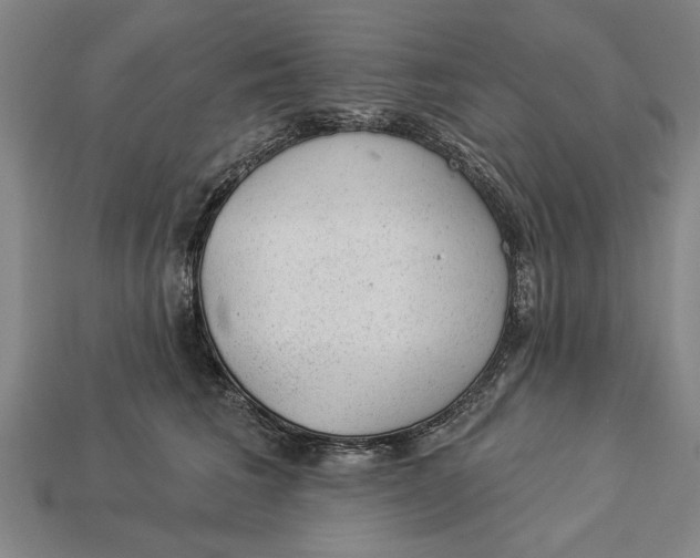 X0000112920613200909141314