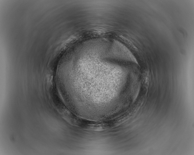 X0000112920615200909141314