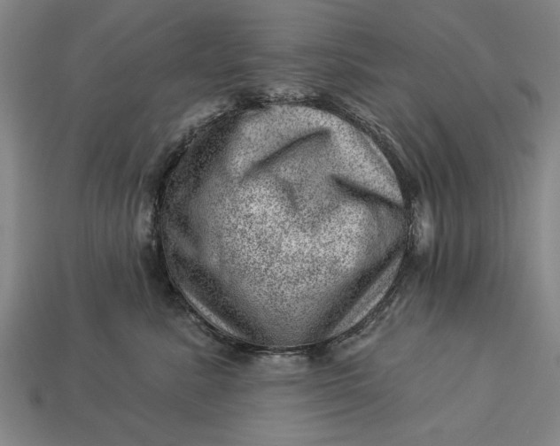X0000112920619200909141314
