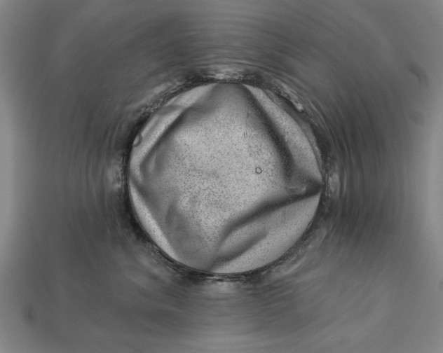 X0000112920620200909141314