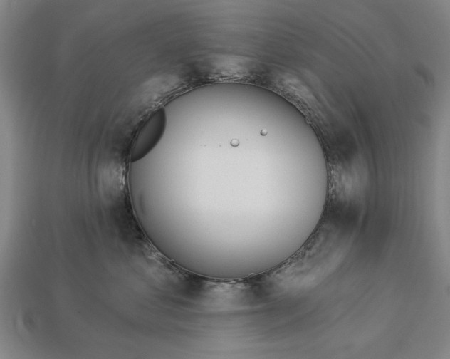 X0000112920621200909141314