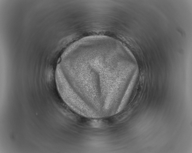 X0000112920623200909141314