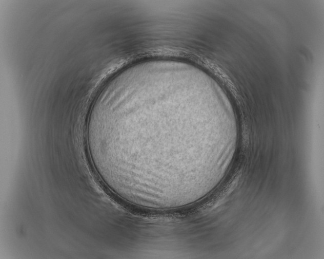 X0000112920625200909141313