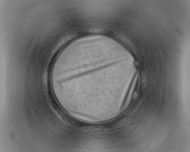 X0000112920626200909141313