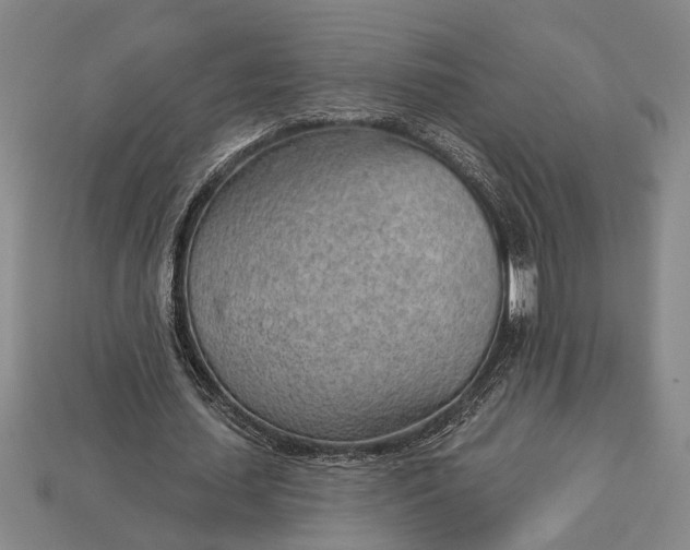 X0000112920627200909141313