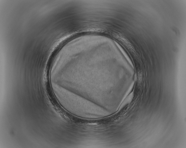 X0000112920628200909141313