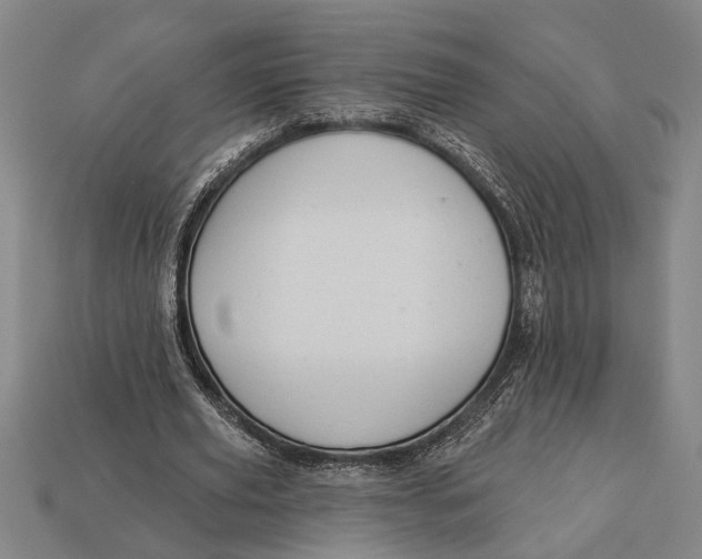 X0000112920629200909141313