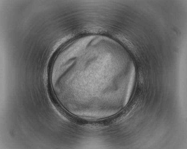 X0000112920630200909141313