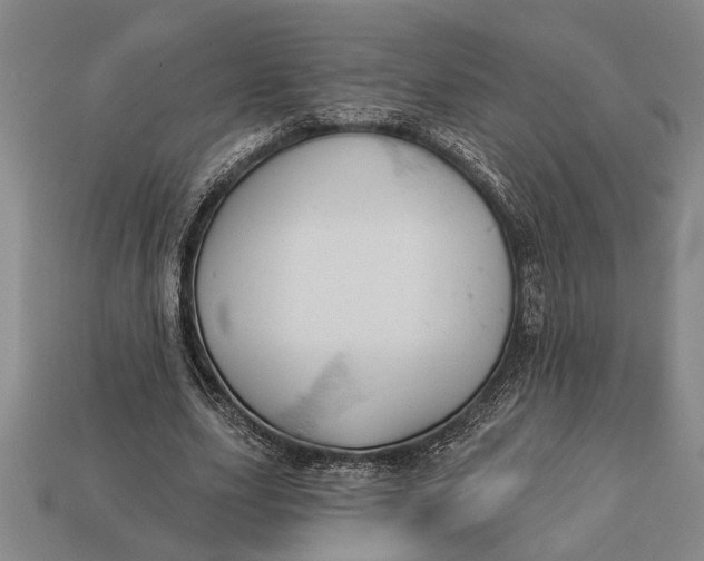 X0000112920631200909141313
